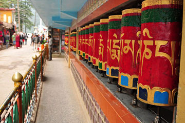Amritsar/Chandigarh to Dharamshala (Mcleodganj) Tour